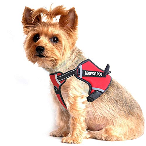 LMOBXEVL Hundegeschirr, kein Ziehen, verstellbar, reflektierend, für kleine und mittelgroße Rassen, zum Wandern, XS:Neck 8.7-14.2"|Chest 14.2-19.7", rot von LMOBXEVL