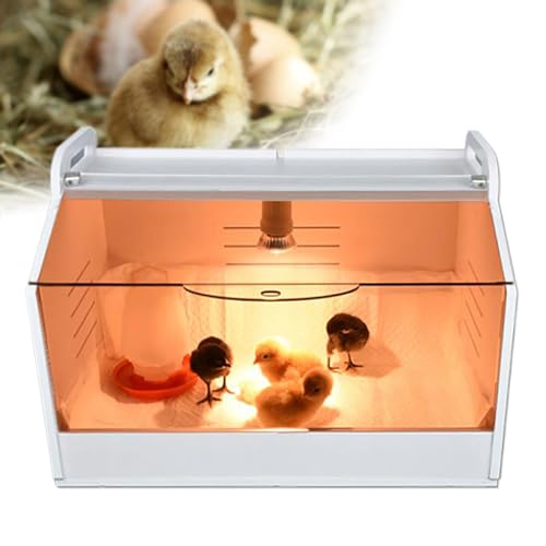 Inkubator, Brut Heim Aufzucht Reptilien Geflügel Brutbox Inkubator für Hühnergans Ente Taube Wachtel Vogel 220V von LNINNERY