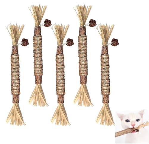 Pack von 5 Katze Knabberstangen,katzenminze sticks für katzen, knabberstangen katze,Katze Silvervine Pfote Zähne Reinigung Knabberstangen, Catnip Stick für Katzen, Katze Zahnpflege und Zahnreinigung von lohill