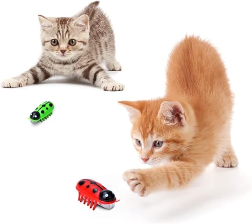 LONMATO nteractive Katzenspielzeug begeistert und verlockt, realistisches Käferspielzeug für Indoor-Katzen, Kätzchen, Jagdübungen (Modern, 2, Count) von LONMATO