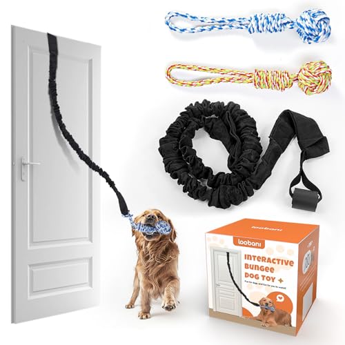 LOOBANI Hundespielzeug Tauziehen Hundespielzeug, Indoor Outdoor Einsatz Bungee Tether Tug Toy, für kleine mittelgroße große Hunde Interaktives Hundespielzeug Baum Kautraining von LOOBANI