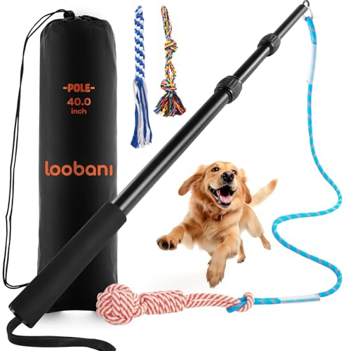 LOOBANI Verbesserte Flirtstange für Hunde, ausziehbarer Hunde-Flirtstock mit abnehmbarem interaktivem Spielzeug, verstärkte Aluminiumlegierung, Flirtstick für kleine und mittelgroße Hunde, Training, von LOOBANI