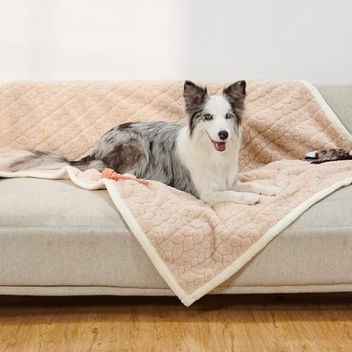 LOOBANI Wasserdichte Bettdecke für Hunde: Haustierdecke, flüssig, Uriniersicher, für Bett, Couch, Sofa, weiche, warme Sherpa-Fleece, waschbare Wendedecke, Möbelschutz für große Hunde und Katzen, 127 x von LOOBANI