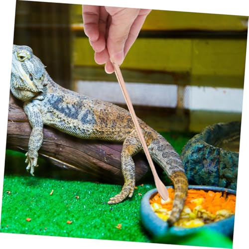LOORGVEL 2 Stück Teiliges Reptilien Futtersieb aus Metallischem Biteresistentem Material mit Langem Ergonomischem Griff Präzises Füttern für Geckos Bartagamen und Kleine Reptilien im LOORGVEL 2 Stück Teiliges Reptilien Futtersieb aus Metallischem Biteresistentem Material mit Langem Ergonomischem Griff Präzises Füttern für Geckos Bartagamen und Kleine Reptilien im von LOORGVEL