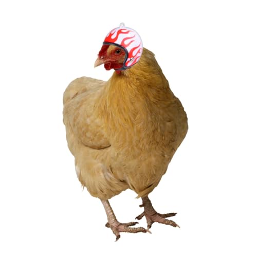 LOORGVEL 3 STÜCKE Lustiger Hühnerhelm Elastischer Schutzhelm für Hennen und Vögel Wie Papagei Ente Sichere Kopfbedeckung aus Langlebigem Material Kreatives Haustierzubehör LOORGVEL 3 STÜCKE Lustiger Hühnerhelm Elastischer Schutzhelm für Hennen und Vögel Wie Papagei Ente Sichere Kopfbedeckung aus Langlebigem Material Kreatives Haustierzubehör von LOORGVEL