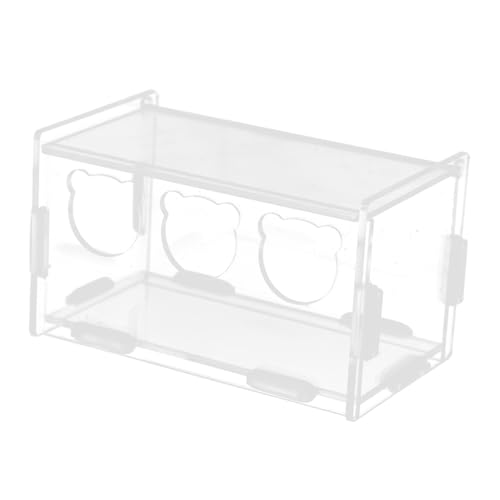 LOORGVEL Transparenter Rutin Hühner Futterautomat aus Kunststoff Einfacher Abnehmbarer Futterspender für Vögel und Haustiere Bruchsicherer Futterbehälter Leicht zu Reinigen und LOORGVEL Transparenter Rutin Hühner Futterautomat aus Kunststoff Einfacher Abnehmbarer Futterspender für Vögel und Haustiere Bruchsicherer Futterbehälter Leicht zu Reinigen und von LOORGVEL