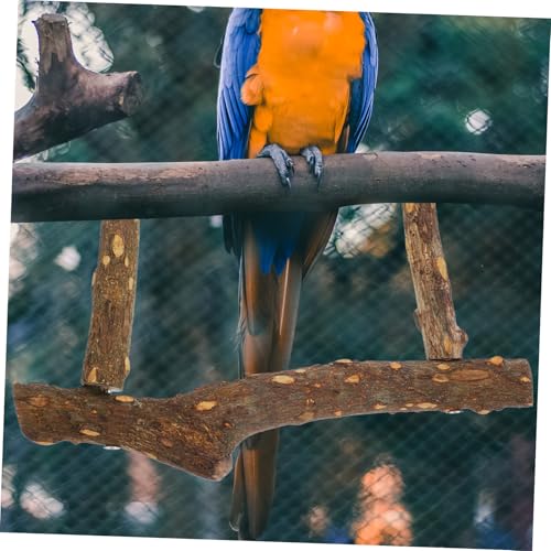 LOORGVEL Vogel sitzstange aus Holz für Wellensittiche und Papageien Verschleißfestes Kauspielzeug Natürlicher Papageien Stand Langlebiger Nistplatz und Kletterzweig für Käfige LOORGVEL Vogel sitzstange aus Holz für Wellensittiche und Papageien Verschleißfestes Kauspielzeug Natürlicher Papageien Stand Langlebiger Nistplatz und Kletterzweig für Käfige von LOORGVEL