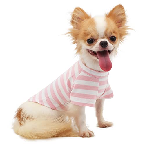 LOPHIPETS Hunde-T-Shirt, 100 % atmungsaktive Baumwolle, gestreift, für kleine Hunde, Chihuahua, Welpen, Kleidung, Rosa und Weiß, gestreift, Größe L von LOPHIPETS