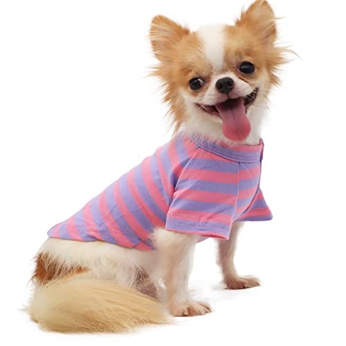 LOPHIPETS Hunde-T-Shirt, 100 % atmungsaktive Baumwolle, gestreift, für kleine Hunde, Chihuahua, Welpen, violett und rosa, gestreift, Größe L von LOPHIPETS