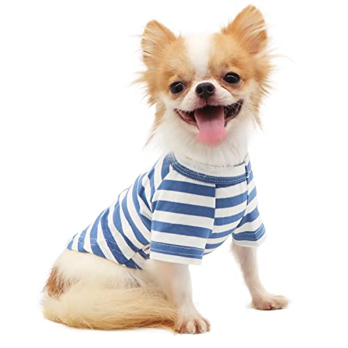 LOPHIPETS Hunde-T-Shirt für kleine Hunde, 100 % atmungsaktive Baumwolle, gestreift, Teetasse, Chihuahua, Yorkie, Welpenkleidung, Blau und Weiß, gestreift, Größe S von LOPHIPETS