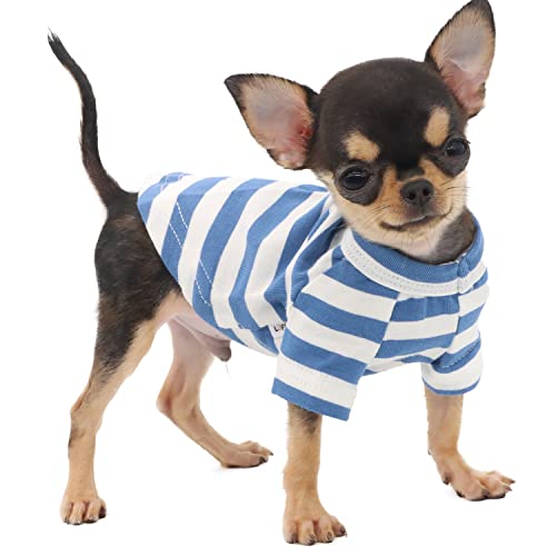 LOPHIPETS Hunde-T-Shirt, 100 % atmungsaktive Baumwolle, gestreift, für kleine Hunde, Teetasse, Chihuahua, Yorkie, Welpenkleidung, Blau und Weiß, gestreift, Größe XS von LOPHIPETS