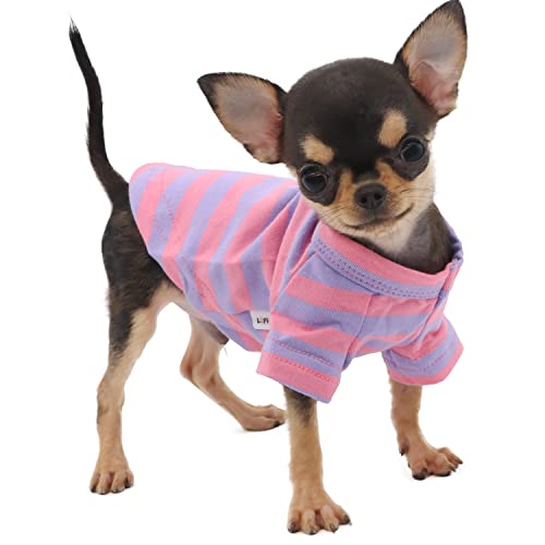 LOPHIPETS Hunde-T-Shirt, 100 % atmungsaktive Baumwolle, gestreift, für kleine Hunde, Teetasse, Chihuahua, Yorkie, Welpenkleidung, Lila und Rosa, gestreift, Größe XXS von LOPHIPETS