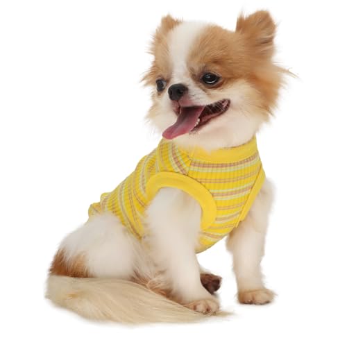 LOPHIPETS Geripptes Hunde-Shirt aus 100 % Baumwolle, für kleine Hunde, Chihuahua, Welpen, Kleidung, Tank-T-Shirt, Gelb/L von LOPHIPETS