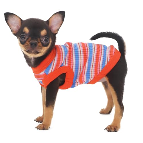 LOPHIPETS Geripptes Hunde-Shirt aus 100 % Baumwolle, für kleine Hunde, Teetasse, Chihuahua, Yorkie, Welpen, Tank, Rot, Größe XS von LOPHIPETS