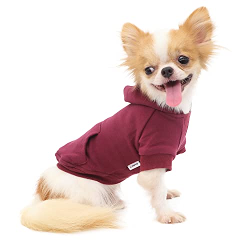 LOPHIPETS Leichter Kapuzenpullover aus Baumwolle für kleine Hunde - Kapuzen-Sweatshirt für Chihuahuas Welpen und Spielzeugrassen, Rot/XL von LOPHIPETS