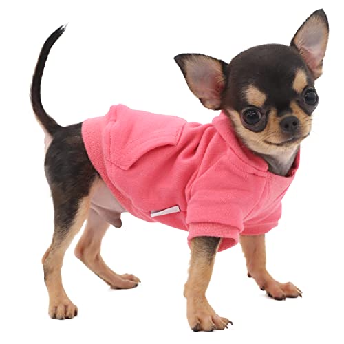 LOPHIPETS Leichter Kapuzenpullover aus Baumwolle für kleine Hunde - Kapuzen-Sweatshirt für Chihuahuas, Welpen und Spielzeugrassen, Rosa/XXS von LOPHIPETS