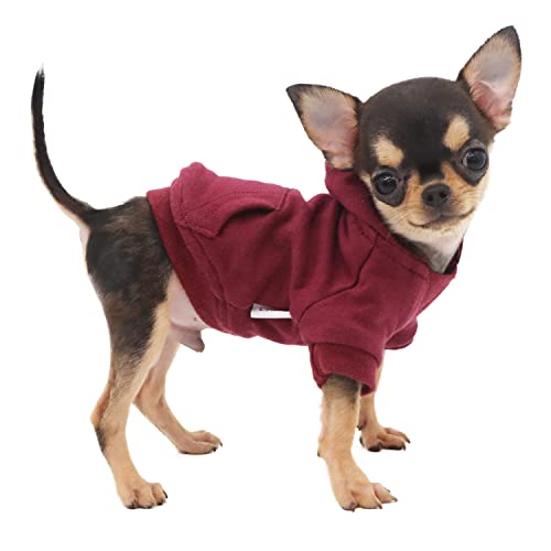 LOPHIPETS Leichter Kapuzenpullover aus Baumwolle für kleine Hunde - Kapuzen-Sweatshirt für Chihuahuas Welpen und Spielzeugrassen, Rot/XS von LOPHIPETS