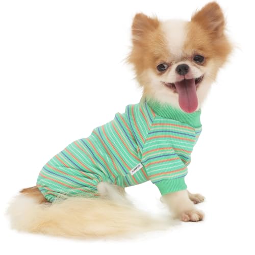 LOPHIPETS Hunde-Pyjama, Einteiler für kleine Bichon-Kleidung, Grün, Größe XL von LOPHIPETS