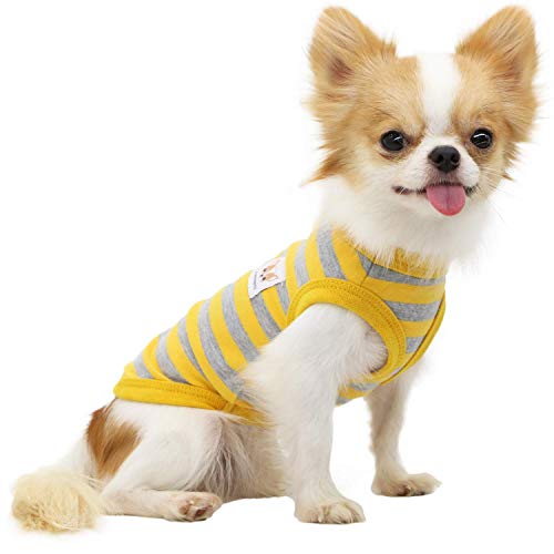 LOPHIPETS Hunde-Shirt, 100% Baumwolle, gestreift, für kleine Hunde, Chihuahua, Welpen, Gelb und Grau von LOPHIPETS