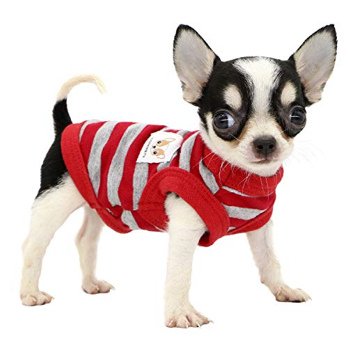 LOPHIPETS Hunde-Shirt, 100% Baumwolle, gestreift, für kleine Hunde, Chihuahua, Welpen, Rot und Grau, Größe XXS von LOPHIPETS