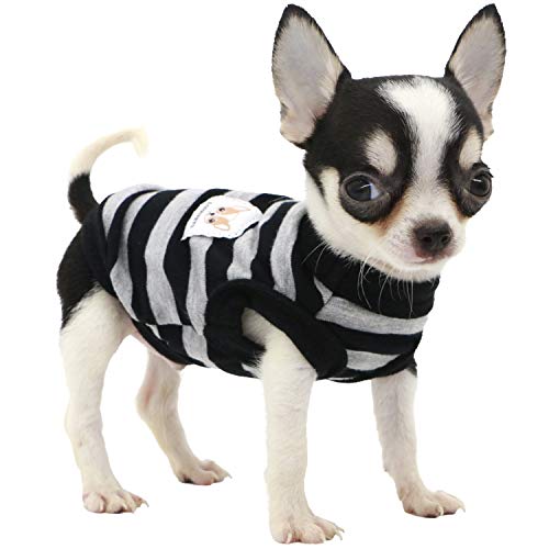 LOPHIPETS Hunde-Shirt, 100 % Baumwolle, gestreift, für kleine Hunde, Chihuahua, Welpen, Tank-Top, Schwarz und Grau, Größe XXS von LOPHIPETS