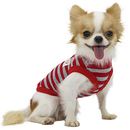 LOPHIPETS Hunde-Shirt, 100 % Baumwolle, gestreift, für kleine Hunde, für Chihuahua, Welpen, Rot und Grau von LOPHIPETS