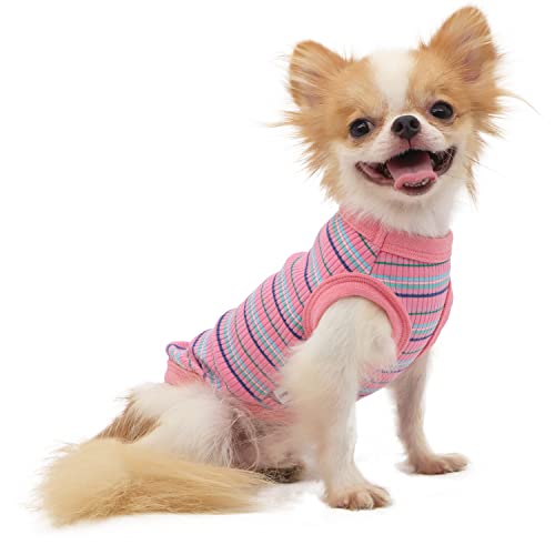 LOPHIPETS Hundekleider, Hunde-Shirt aus 100 % gerippter Baumwolle, für kleine Hunde, Chihuahua, Welpen, Kleidung, Tank-T-Shirt, Rosa/M von LOPHIPETS