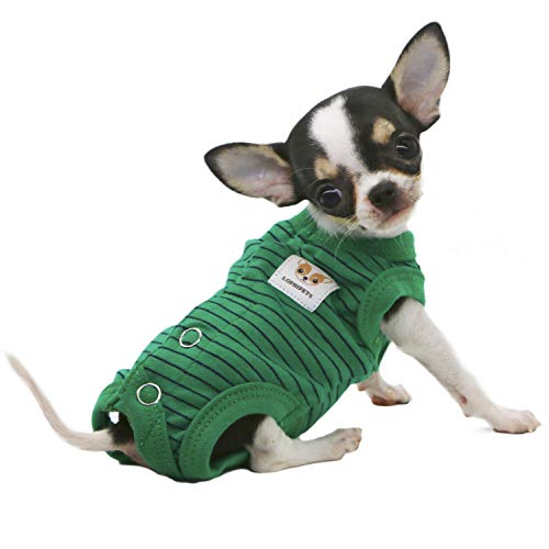 LOPHIPETS Hunde-Shirts für Mädchen, für kleine Teetassen, Chihuahua, Yorkie, Welpen, Katzenkleidung, Grüne Streifen/XXS von LOPHIPETS