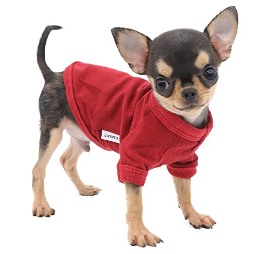 LOPHIPETS Hundekleidung, Hunde-T-Shirt aus 100 % Baumwolle, für kleine Hunde, Teetasse, Chihuahua, Yorkie, Welpenkleidung, Rot/XS von LOPHIPETS