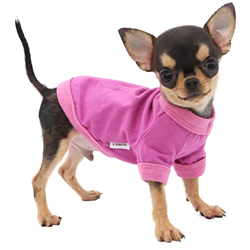 LOPHIPETS Hundebekleidung, Hunde-T-Shirt aus 100 % Baumwolle, für kleine Hunde, Teetasse, Chihuahua, Yorkie, Welpenkleidung, Violett/XS von LOPHIPETS