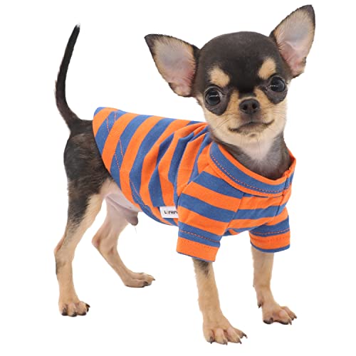 LOPHIPETS Hunde-T-Shirt für kleine Hunde, 100 % atmungsaktive Baumwolle, gestreift, Teetasse, Chihuahua, Yorkie, Welpen, Kleidung, Orange und Blau, gestreift, Größe XXS von LOPHIPETS