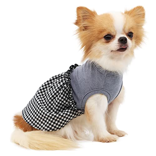 LOPHIPETS Hundekleid für kleine Hunde, Chihuahua, Welpen, Katzen, Schwarz und Weiß, Größe L von LOPHIPETS