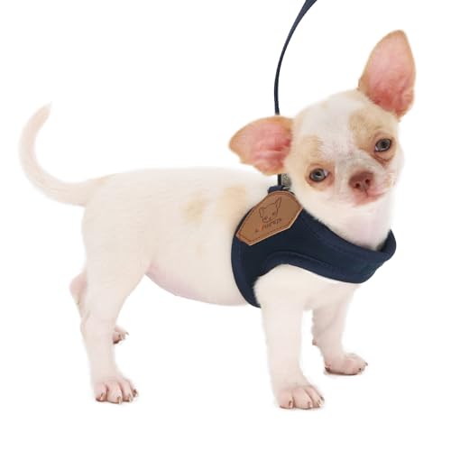 LOPHIPETS Leichtes Hundegeschirr mit Leine, Set für kleine Hunde, Chihuahua, Yorkie, Welpen, Katze, Blau/XS von LOPHIPETS