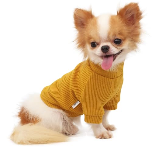 LOPHIPETS Rollkragenpullover für kleine Hunde, Größe L, Gelb von LOPHIPETS