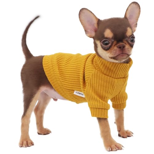 LOPHIPETS Rollkragenpullover für kleine Hunde, für Chihuahua, Yorkie, Welpen, Katzen, Gelb / XXS von LOPHIPETS