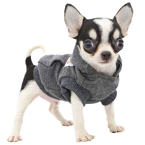 LOPHIPETS Hunde-Kapuzenpullover aus Baumwolle für kleine Hunde, Chihuahua, Welpenkleidung, kaltes Wetter, Anthrazit/Größe XXS von LOPHIPETS