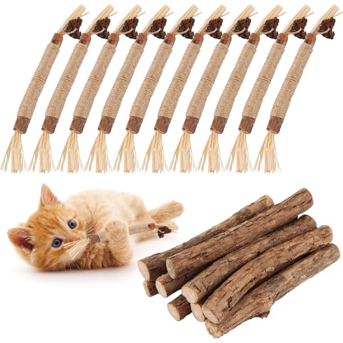 LOPYXBR 20 Stück Katzenminze Stick, Katzen Zahnpflege Sticks Matatabi Stick Katze, Katzenminze Spielzeug Matatabi Kausticks zur Zahnpflege bei Katzen und zur Vorbeugung von Mundgeruch von LOPYXBR