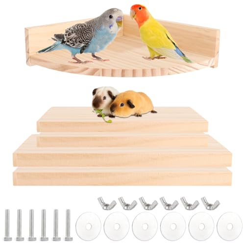 LOPYXBR Flache Papageien-Sitzstangen für Käfig, Holz, Hamster, Plattform, Vogel-Ratten, Spielzeug und Zubehör für Käfig, Kletterplattform für Kleintiere, Wellensittiche, Ratten, 5 Stück von LOPYXBR