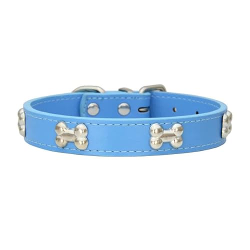 Bone Rivets Hundehalsband aus Leder, buntes Halsband für Welpen, für kleine, mittelgroße Hunde, Katze, Mops, Chihuahua, Zubehör, S-XL-Blau,L von LORSHEL