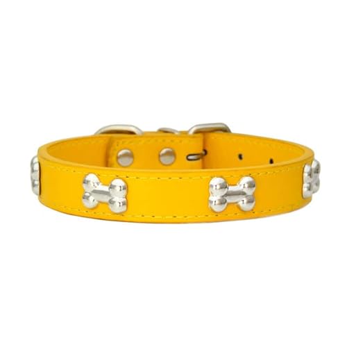 Bone Rivets Hundehalsband aus Leder, buntes Halsband für Welpen, für kleine, mittelgroße Hunde, Katze, Mops, Chihuahua, Zubehör, S-XL-Gold,M von LORSHEL