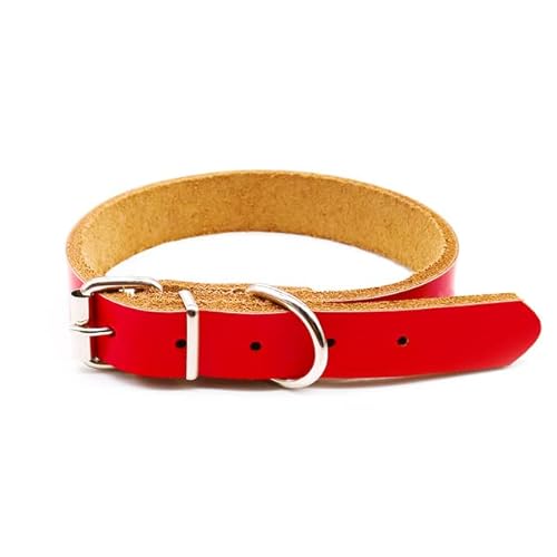 Einstellbares Hundehalsband für Hunde, Katzen, Leine, Hundehalsband, Outdoor-Laufhalsband für kleine Hunde, Katzen, Tiere, Hundezubehör-5 von LORSHEL