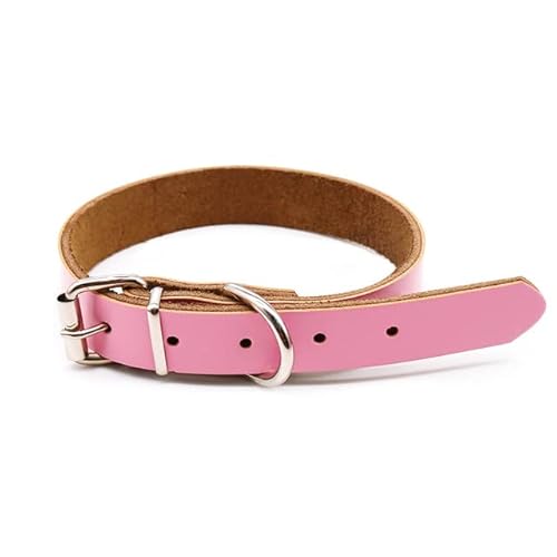 Verstellbares Hundehalsband für Hunde, Katzen, Leine, Hundehalsband, Outdoor-Laufhalsband für kleine Hunde, Katzen, Tiere, Hundezubehör-4 von LORSHEL