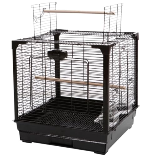 Vogelkäfig Vogelvoliere Schmiedeeisen-Vogelkäfig, Kunststoff-Vogelflugkäfige Mit Bodenschale, Papageienkäfig Für Sittiche, Turteltauben Vogelbauer Vogelhaus(Black) von LOSTIS