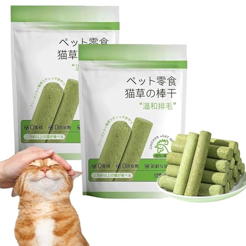 LOTFI Cat Grass Teething Stick, Chew Sticks for Cats, Cat Teeth Cleaning Cat Grass Stick, Natural Grass Molar Rod for Cat Indoor (2pcs) von LOTFI