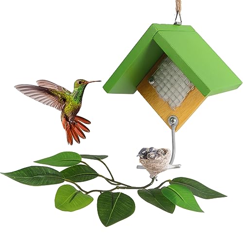2023 Kolibri-Haus, hängende Kolibri-Nestzweige mit Blatt für Kolibri-Nistung, Kolibri-Nist-Baumzweige Set für Traufe im Freien, Garten (1 Stück) von LOTKEY