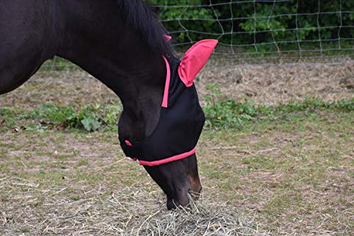 LOVEHORSES Fliegenschutz fürs Pferd – Made in Italy - Netz Standard 100 by Oeko-TEX® Zertifiziert - Widerstandsfähig – Farbige Ohren (MEDIUM/COB, Fuchsia) von LOVEHORSES