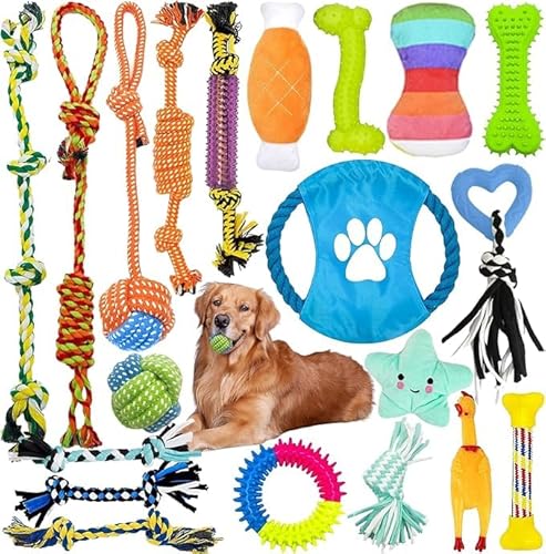 LOVICVKEM Hundespielzeug Set, 20 Pcs Seil Ball Hunde robuste Zähne Kauen langlebig Spielzeug Zahntraining Set Für Kleine mittelgroßen Hund Interaktives Hundespielzeug zum Zähneputzen Unzerstoerbar von LOVICVKEM