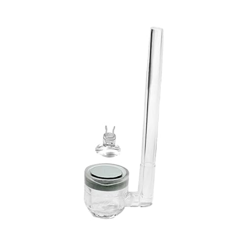 LOVIVER CO2-Zerstäuber, Diffusor, Aquarium-Bubbler mit Saugnapf, Aquarium-Luftverfeinerer für Zirkulationssystem, kleines Eimer-Aquarium, 15 X 70 Mm von LOVIVER