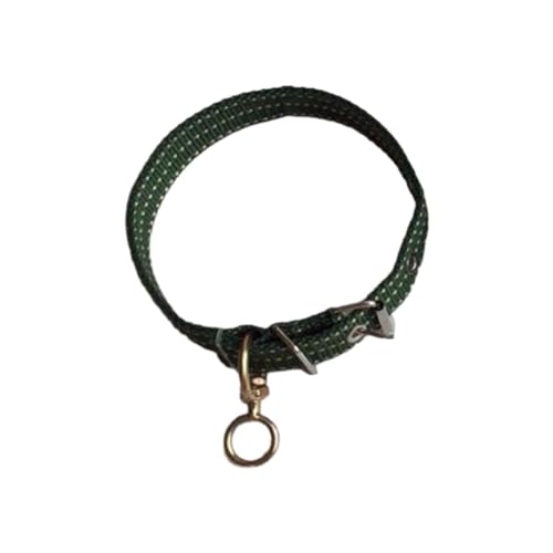 LOVIVER Hundehalsband mit Metallschnalle, verstellbares Stoffgewebe, weich gepolstert, zum Wandern, Hundeliebhaber, Geschenke, Laufen, S von LOVIVER