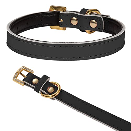 LOVPE Bequemes gepolstertes Leder-Halsband mit goldener Strass-Schnalle, Hundehalsband/Katzenhalsband für Katzen, Welpen, Kätzchen, kleine Hunde (XS Halsumfang: 20,3 - 27,9 cm), Schwarz) von LOVPE